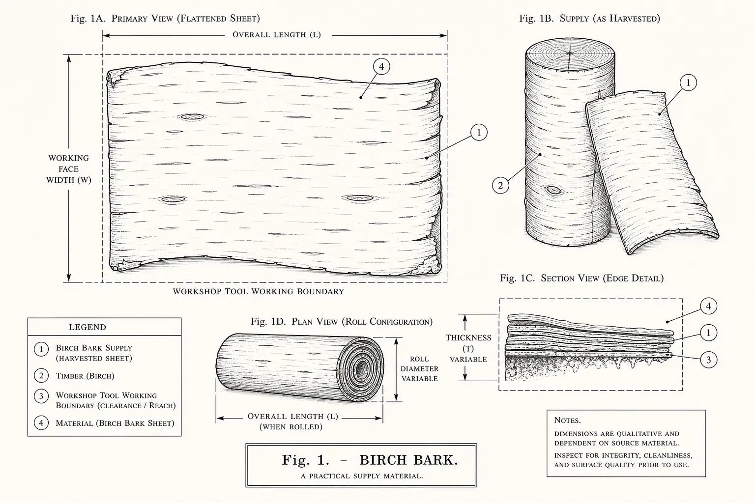 Schematic diagram of Birch Bark, highlighting birch bark supply, timber, cutting edge, material and major working relationships.