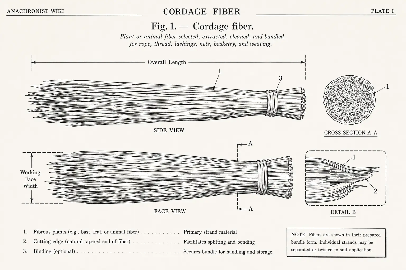 Schematic diagram of Cordage fiber, highlighting fibrous plants, cutting edge, material and major working relationships.