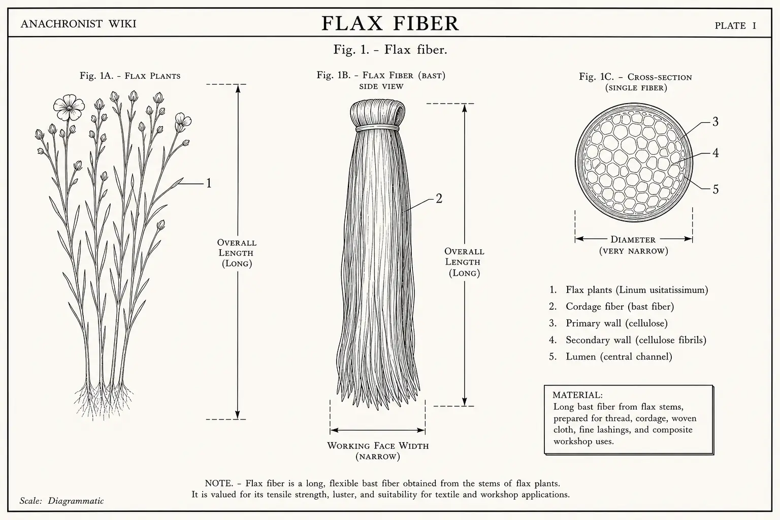 Schematic diagram of Flax fiber, highlighting flax plants, cordage fiber, material and major working relationships.