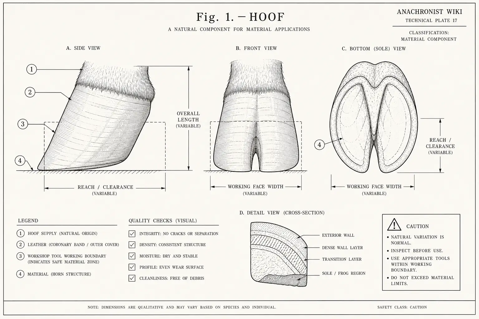Schematic diagram of Hoof, highlighting hoof supply, leather, cutting edge, material and major working relationships.