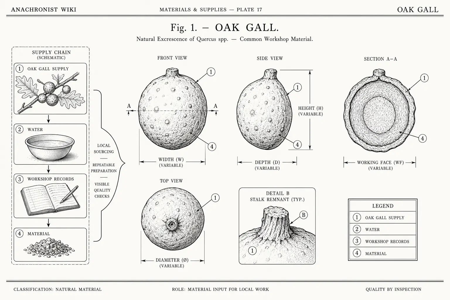 Schematic diagram of Oak Gall, highlighting oak gall supply, water, workshop records, material and major working relationships.