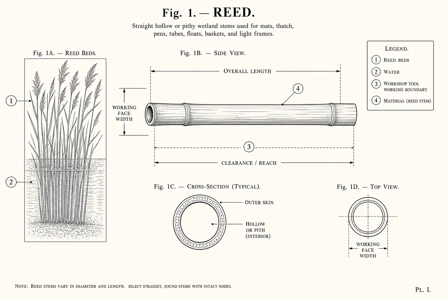 Schematic diagram of Reed, highlighting reed beds, water, cutting edge, material and major working relationships.