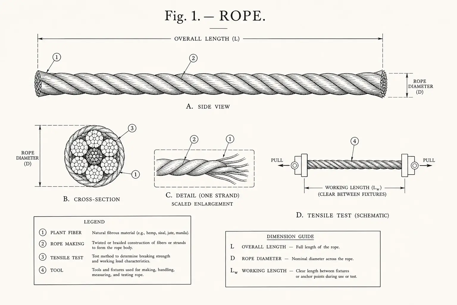 Schematic diagram of rope, highlighting cordage fiber, knot tying, and strand relationships.