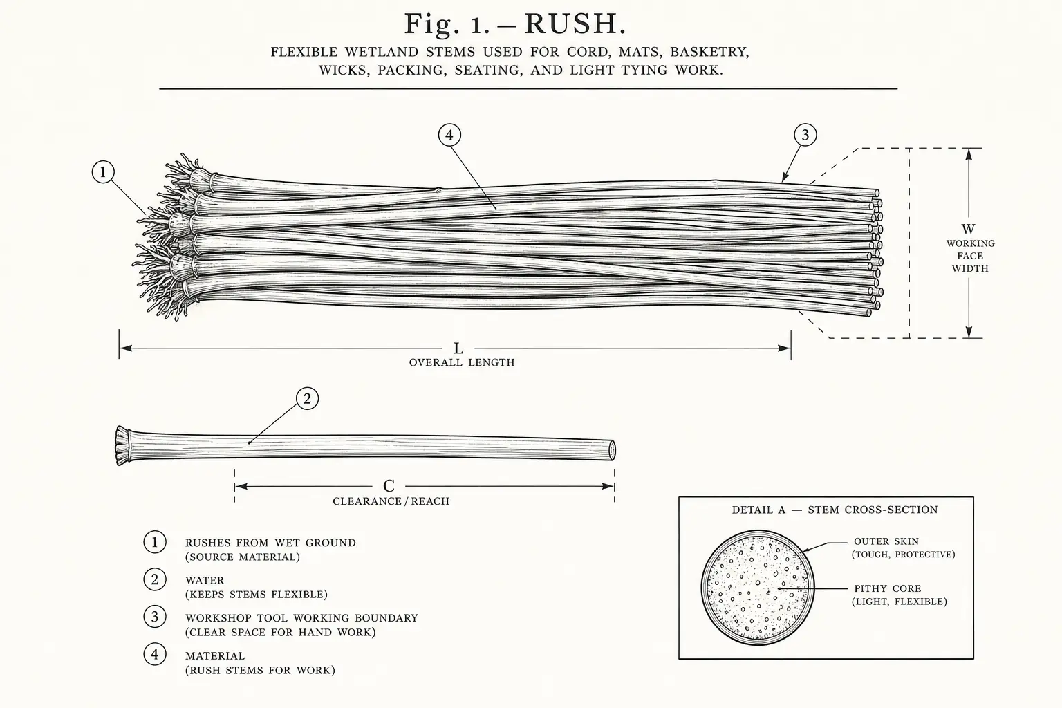 Schematic diagram of Rush, highlighting rushes from wet ground, water, cutting edge, material and major working relationships.