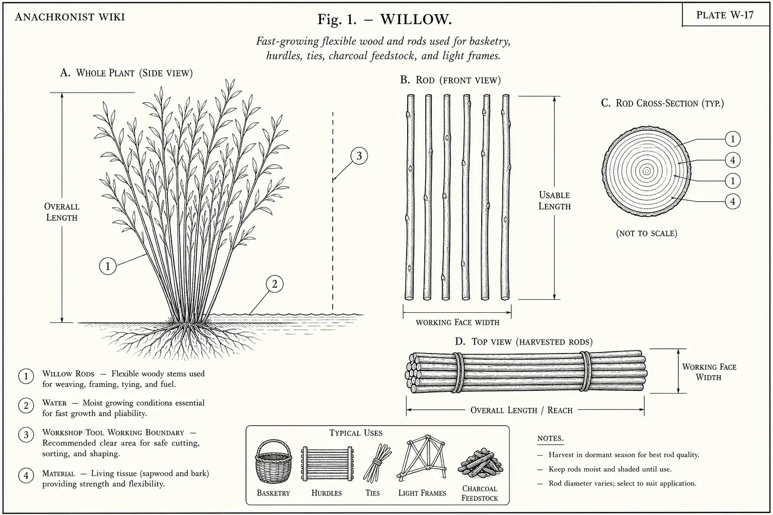 Schematic diagram of Willow, highlighting willow rods, water, cutting edge, material and major working relationships.